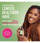 Mielle Rosemary Mint Scalp Oil, imported from the UK.
