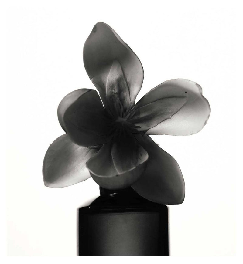 Fenty Eau de Parfum warm floral 30ml, imported from the UK