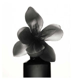 Fenty Eau de Parfum warm floral 30ml, imported from the UK