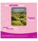 Broncho 5 in 1 Cough Syrup 120ml - British product