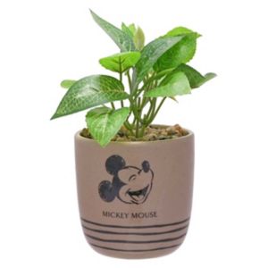 Disney Mickey Planter with Artificial Succulent - British product