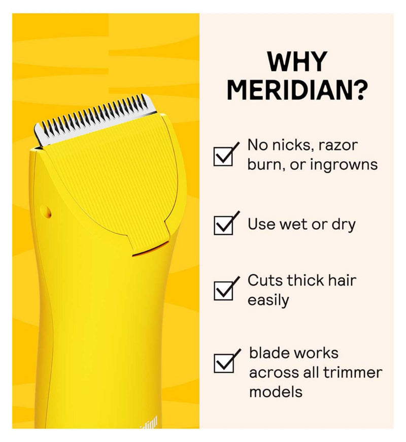 Meridian Signature Ceramic Replacement Blade imported from the UK