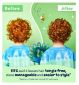 Childs Farm shampoo and conditioner Apple Pear 250ml - British product