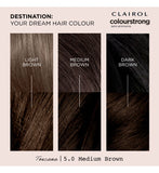 Clairol Colour Strong Hair Dye Medium Brown 199ml - British product