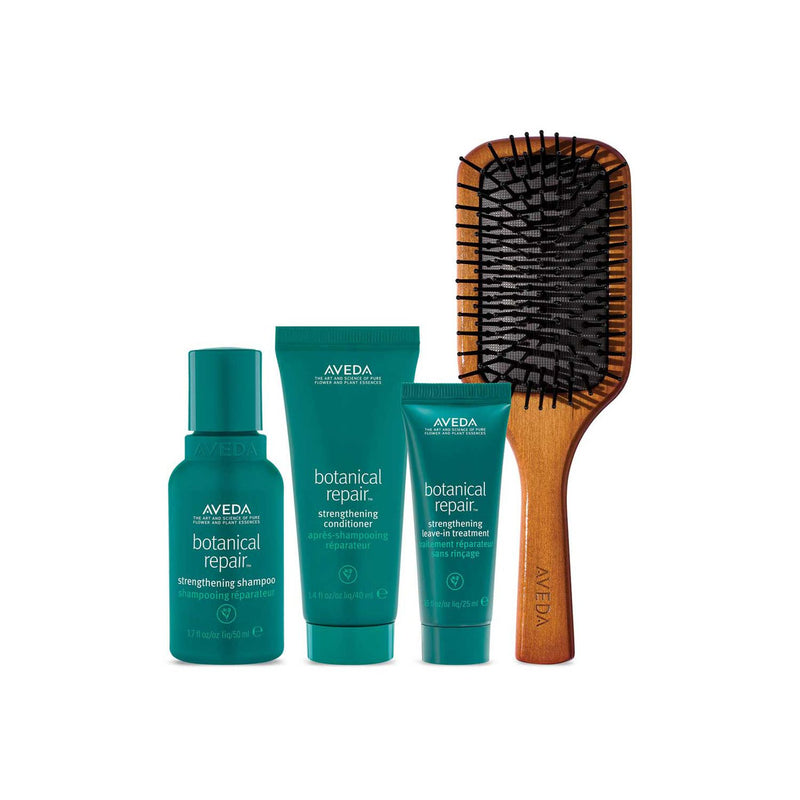 Aveda Hair Repair Travel Essentials Set for Damaged Hair - British product