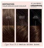 Clairol 5.3 Medium Golden Brown hair dye 199ml - British product