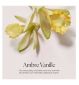 Laura Mercier Honey Bath Ambre Vanille 250ml, UK version
