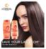 L'Oréal Paris Elvive Dream Lengths Shampoo 250ml, UK version