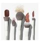 Morphe Portrait Mode Face Brush Set 5 Piece, imported from the UK