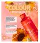 Lee Stafford Colour Guarded Shampoo 250ml bottle, UK version