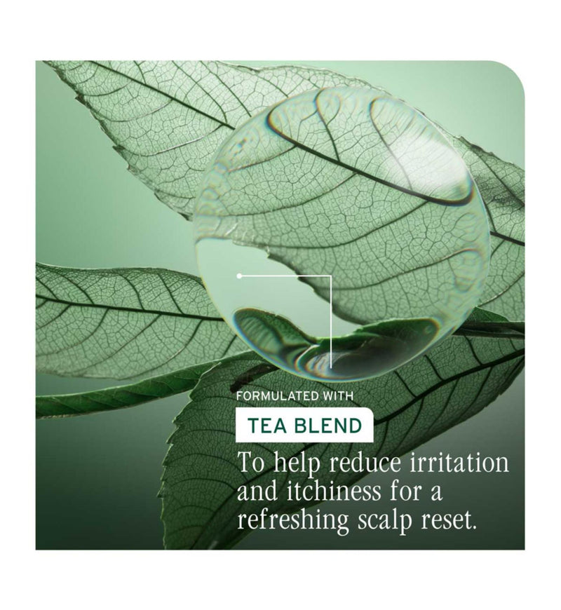 Biolage Scalp-Sync Purify conditioner 200ml (British brand)