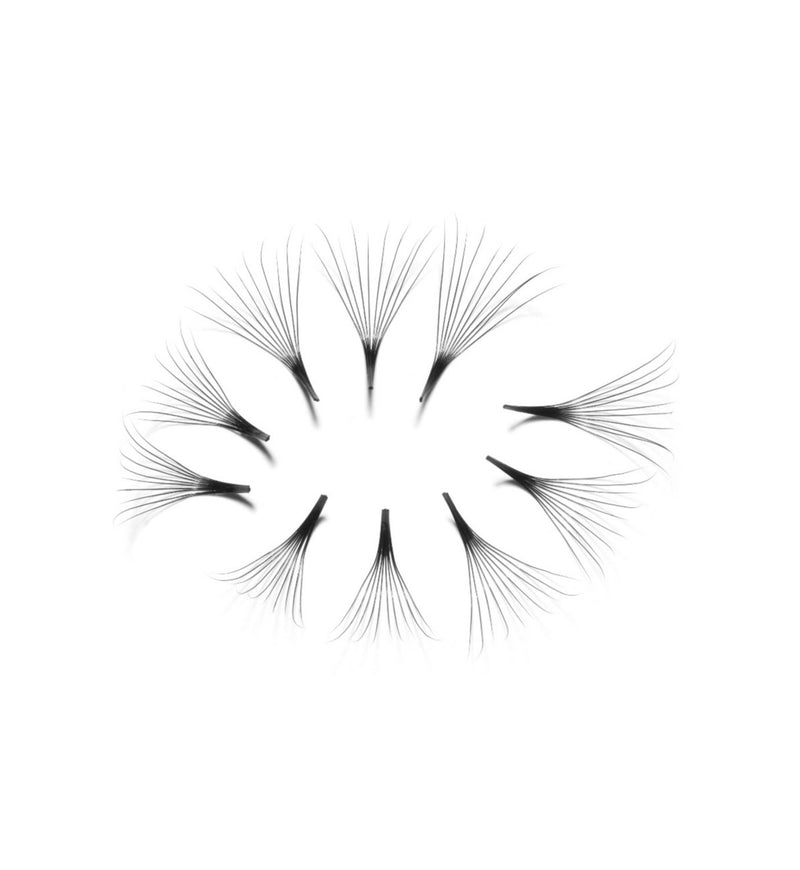 Eylure wispy lash fans 60 pack, UK version