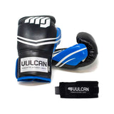 Vulcan Delta 14oz boxing gloves with hand wraps, imported from the UK