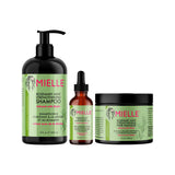 Mielle Rosemary Mint Bundle hair care set (British brand)