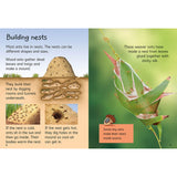 Usborne Beginners Nature Boxset 10-book set, imported from the UK