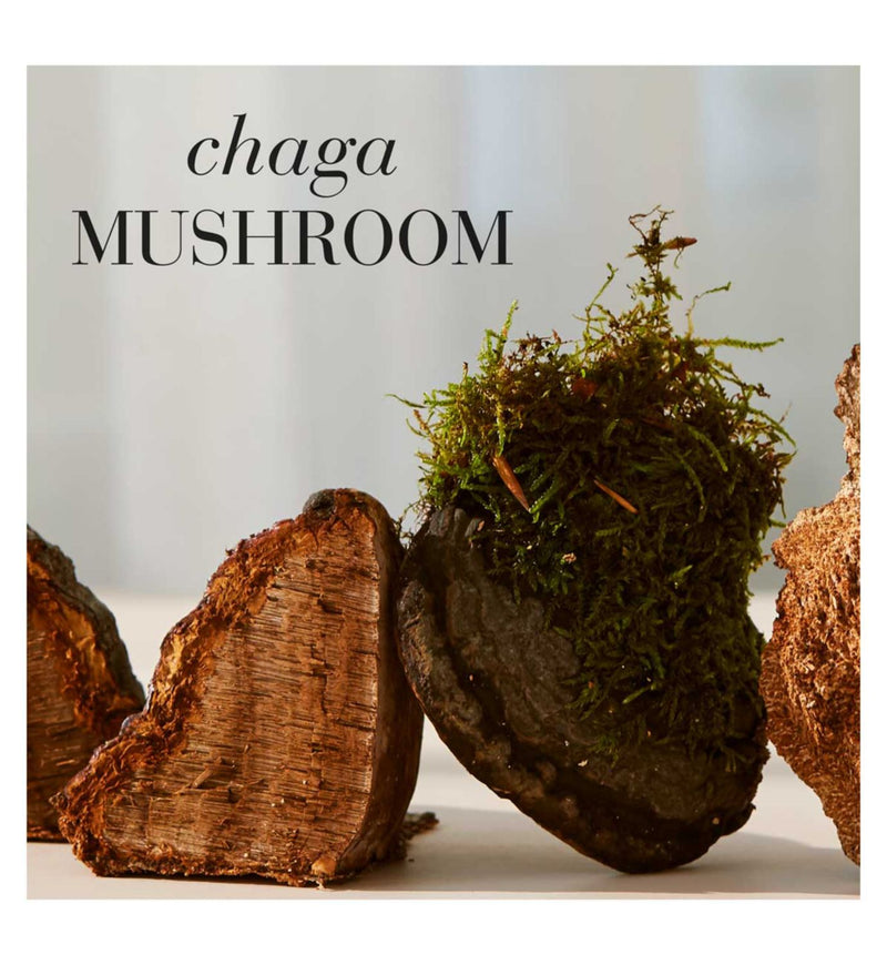 New Nordic Chaga mushroom supplement 30 tablets, imported from the UK
