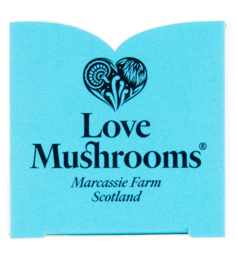 Love Mushrooms Lion's Mane Drops 30ml, imported from the UK