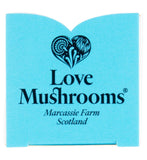 Love Mushrooms Lion's Mane Drops 30ml, imported from the UK