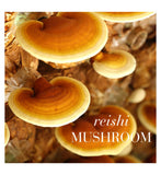 New Nordic Reishi supplement 30 tablets (British brand)