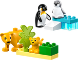 Lego LEGO DUPLO Wild Animal Families Penguins Lions Building Set Ages 2+ 10 Pieces- Buy online at McGrocer