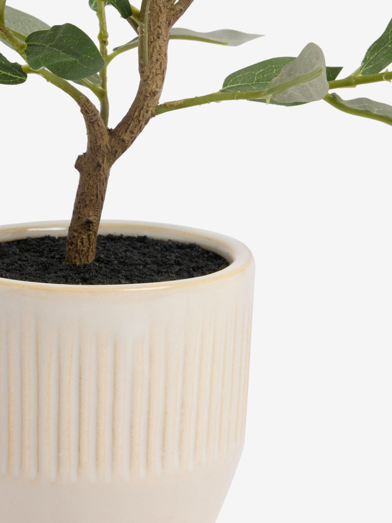Artificial mini olive tree in ribbed ceramic pot, green, 30cm height - British product