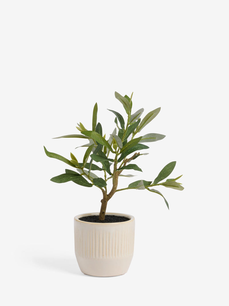 Artificial mini olive tree in ribbed ceramic pot, green, 30cm height - British product
