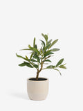 Artificial mini olive tree in ribbed ceramic pot, green, 30cm height - British product