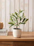 Artificial mini olive tree in ribbed ceramic pot, green, 30cm height - British product