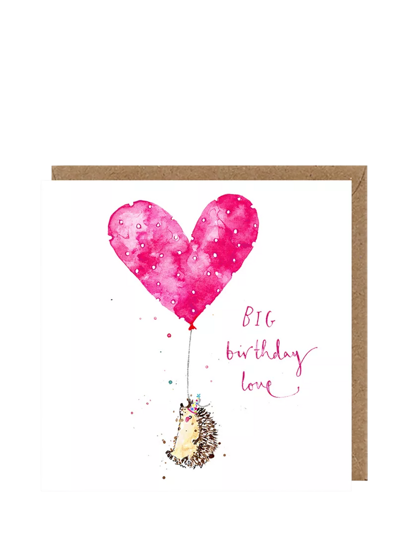 Louise Mulgrew hedgehog birthday card blank inside (British brand)