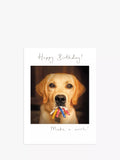Woodmansterne Labrador Candles birthday card (British brand)