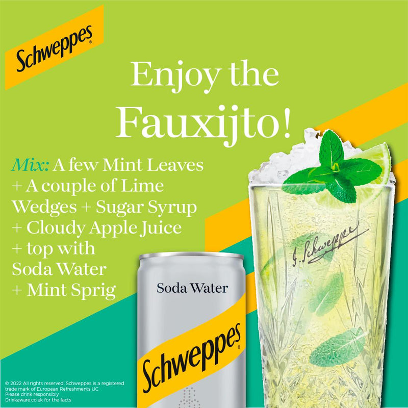 Schweppes Sparkling Soda Water 12x150ml Carton (British brand)