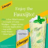 Schweppes Sparkling Soda Water 12x150ml Carton (British brand)