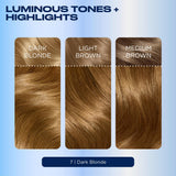 Clairol Nice'N Easy Dark Blonde 7 hair dye (British brand)