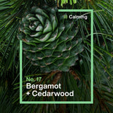 Ineos Antibac multi-room cleaner spray bergamot cedarwood 750ml, imported from the UK
