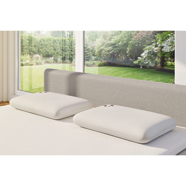 Panda memory foam pillow with bamboo cover 40x60 cm (British brand)