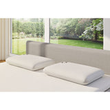 Panda memory foam pillow with bamboo cover 40x60 cm (British brand)