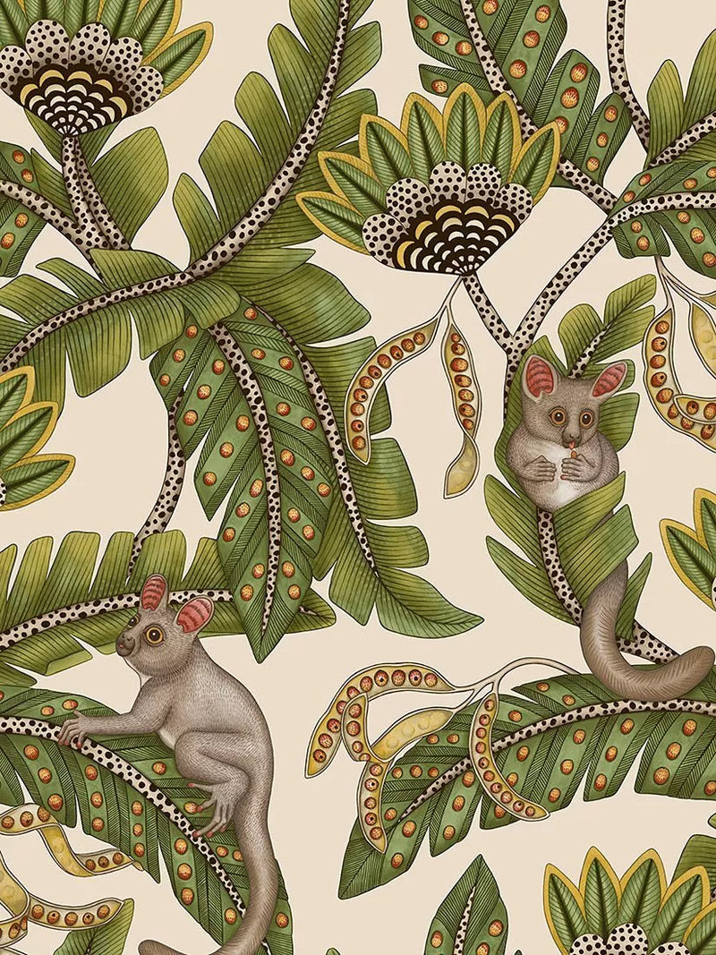 Cole & Son Bush Baby Wallpaper - 10m x 52cm