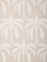 John Lewis John Lewis Desert Palm Wallpaper Tropical Wallcovering Pattern- Buy online at McGrocer