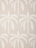 John Lewis Desert Palm Wallpaper - British product