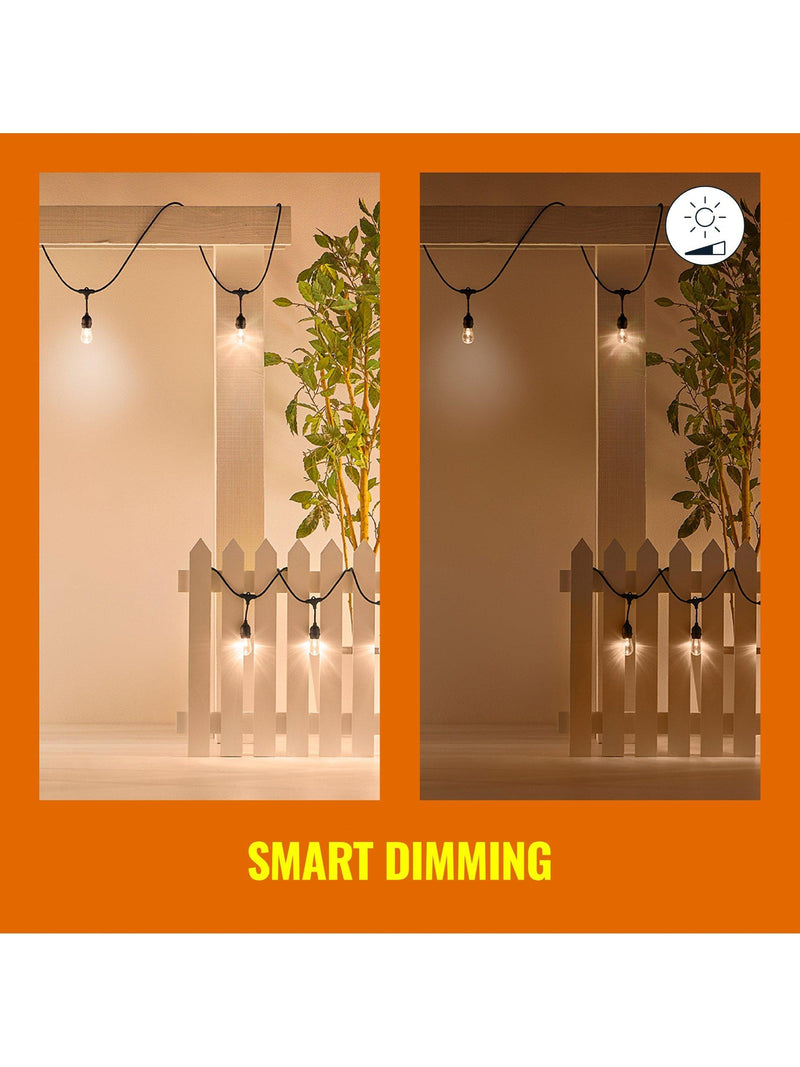 WiZ smart outdoor festoon lights LED colour changing (British brand)