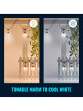 WiZ smart outdoor festoon lights LED colour changing (British brand)