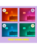 WiZ smart outdoor festoon lights LED colour changing (British brand)