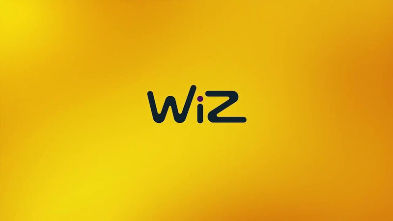 WiZ smart outdoor festoon lights LED colour changing (British brand)