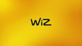 WiZ smart outdoor festoon lights LED colour changing (British brand)