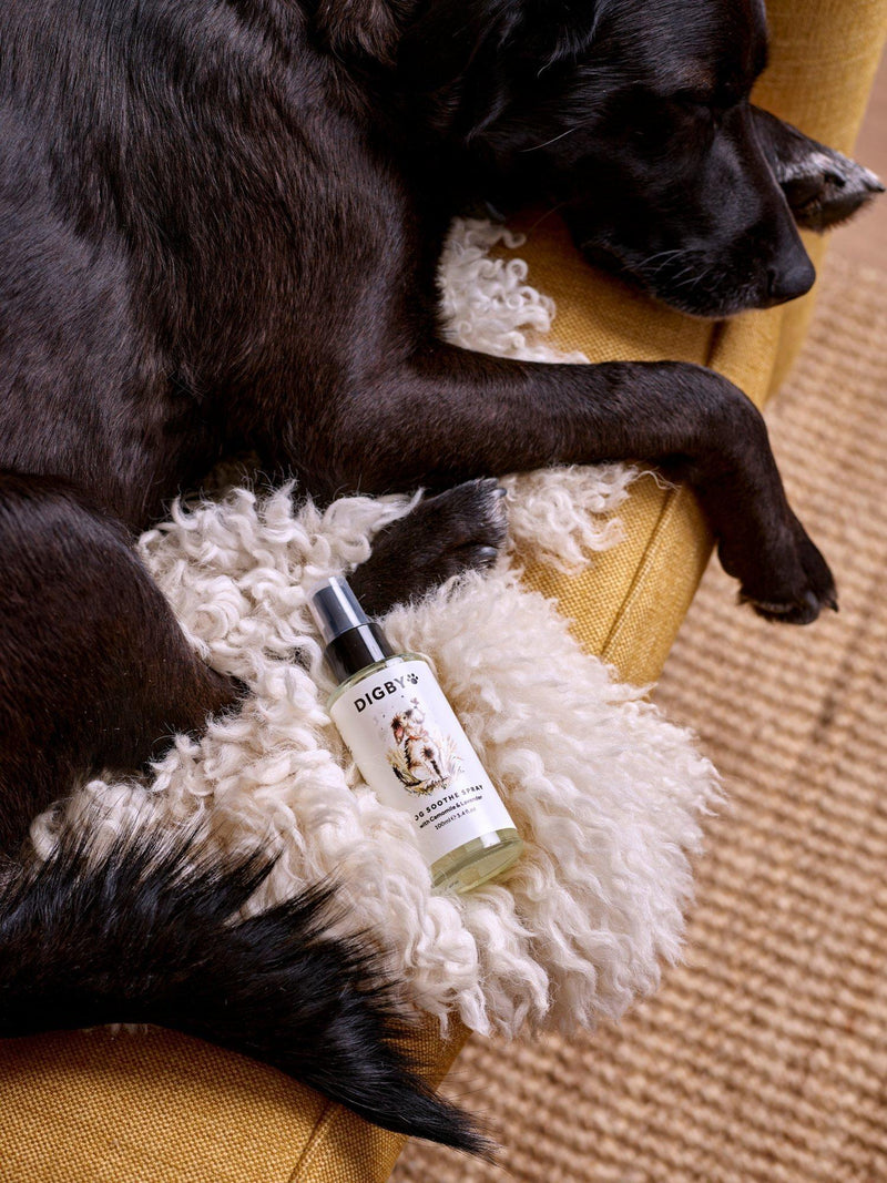 Bramley Digby Mood Spray dog deodorising spray, imported from the UK
