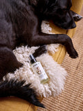 Bramley Digby Mood Spray dog deodorising spray, imported from the UK