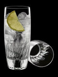 Luigi Bormioli highball glasses set of 6 435ml, UK version