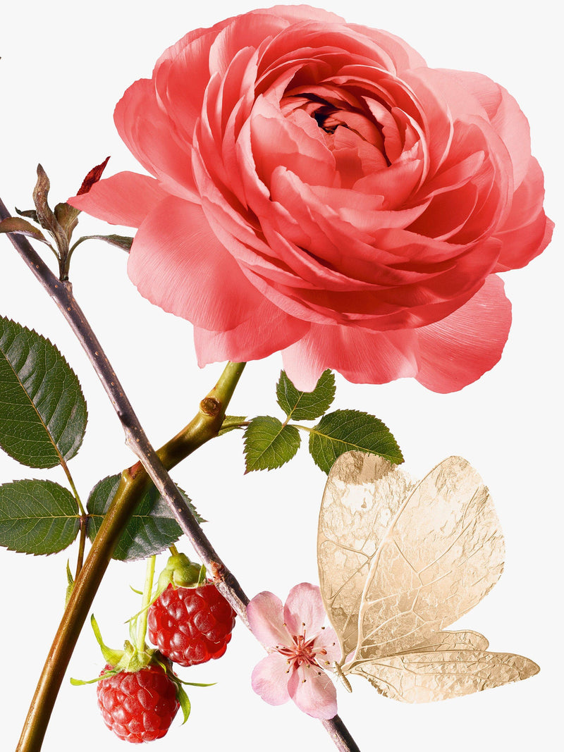 Goutal Rose Pompon Eau de Parfum 50ml - British product
