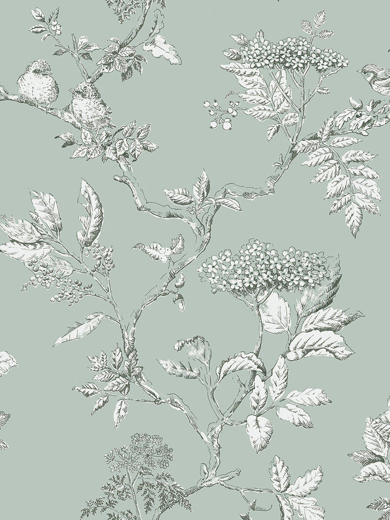 Laura Ashley Elderwood Wallpaper 10m x 52cm, UK version