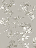 Laura Ashley Elderwood Wallpaper - 113348